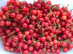 Sour Cherries - Frozen (Copy)
